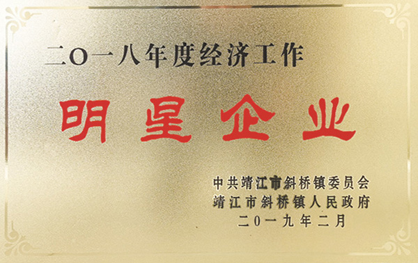 2018年度明星企業(yè)
